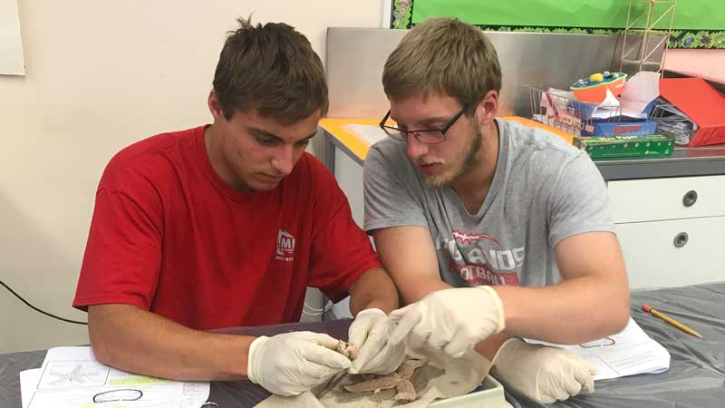 Living Environment – A Lesson in the Biology of a Clam, Starfish, and Shark