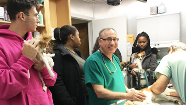 Career Discovery Visits Totowa, NJ Animal Hospital